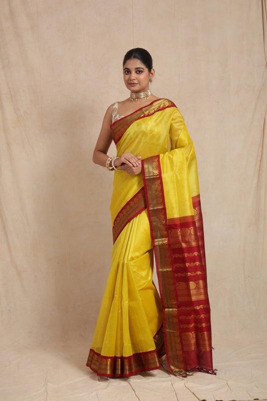 Full-length view of Sunshine Yellow Gadwal Silk Saree