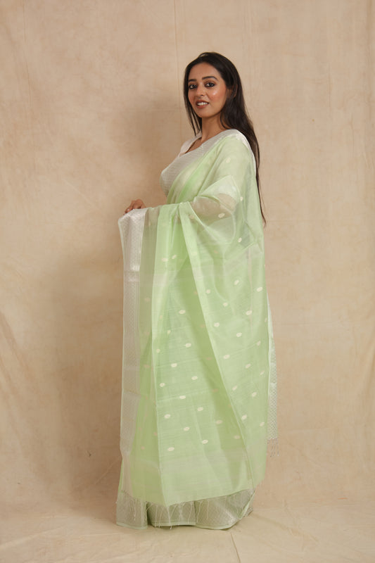 Side profile of handwoven pastel mint green Maheshwari SICO saree with graceful drape