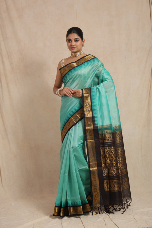 Full view of aqua blue Kanchipuram Sico saree with black and gold woven border