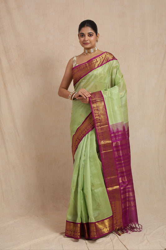 Full look of pastel green Kanchipuram Sico saree with traditional woven pallu