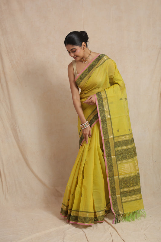 Front drape view of greenish yellow Kanchipuram cotton saree
