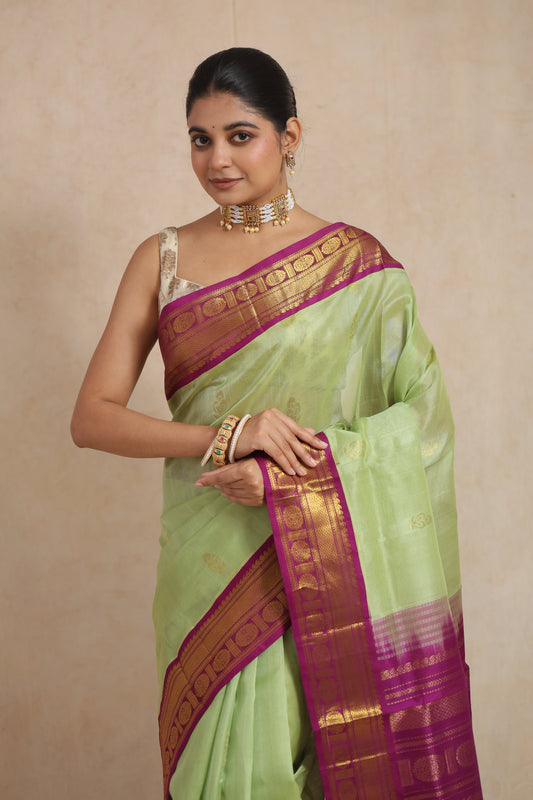 Portrait view of pastel green Kanchipuram Sico saree with magenta woven border
