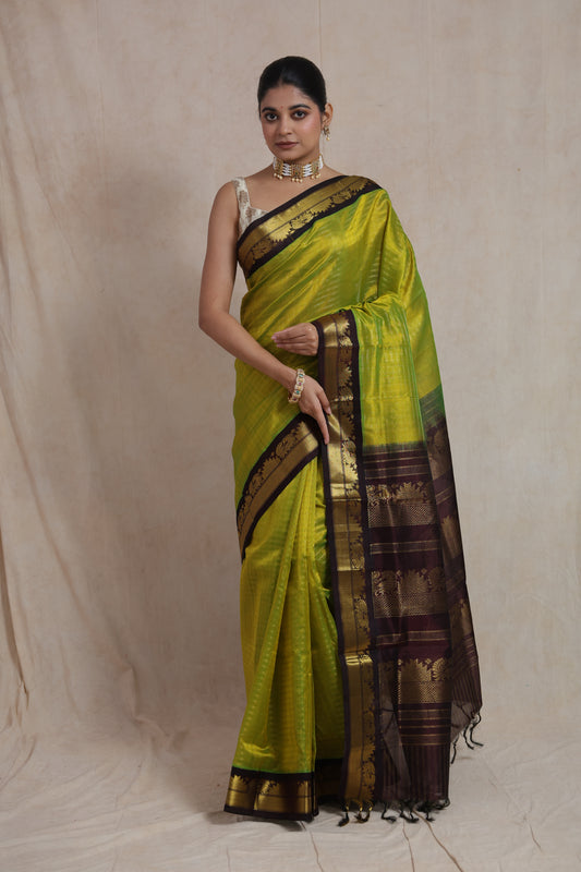 Front view of lime green Kanchipuram Sico saree on model