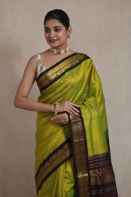 Portrait view of lime green Kanchipuram Sico saree with woven border