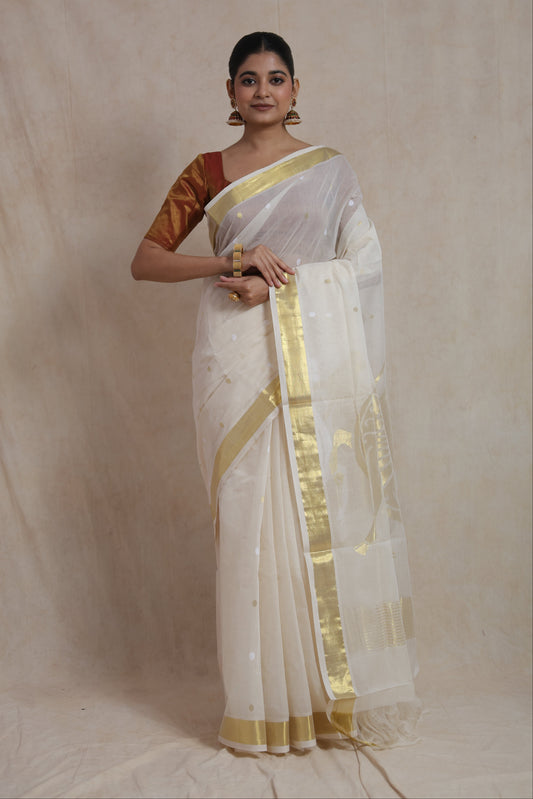 Front view of off white Kanchipuram cotton saree on model