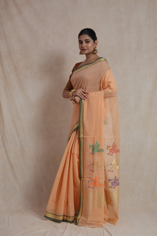 Elegant drape of peach Kanchipuram cotton saree