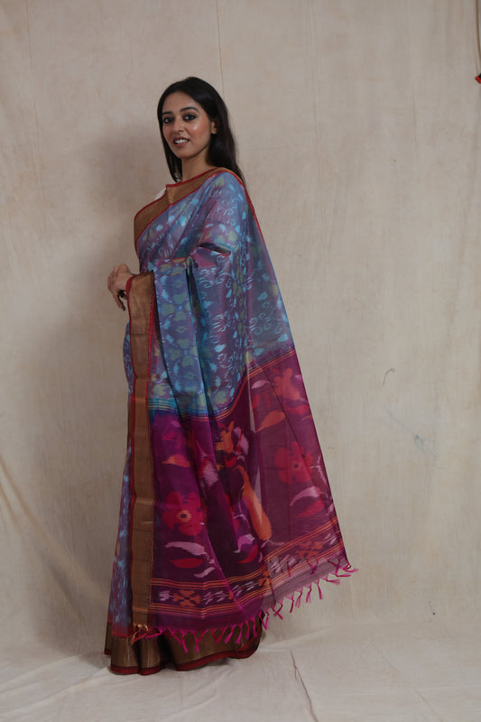 Side profile of Panchampali SICO saree featuring sky blue ikat motifs and vibrant magenta pallu