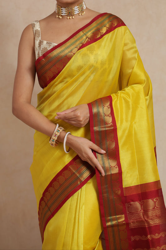 Close-up of sunshine yellow Kanchipuram Sico saree with woven zari border