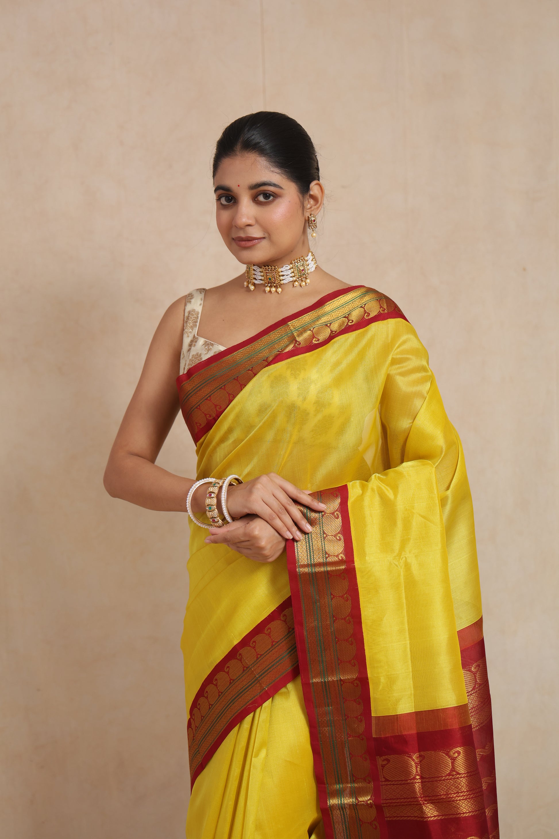 Portrait view highlighting the border and drape of the Gadwal Silk Saree