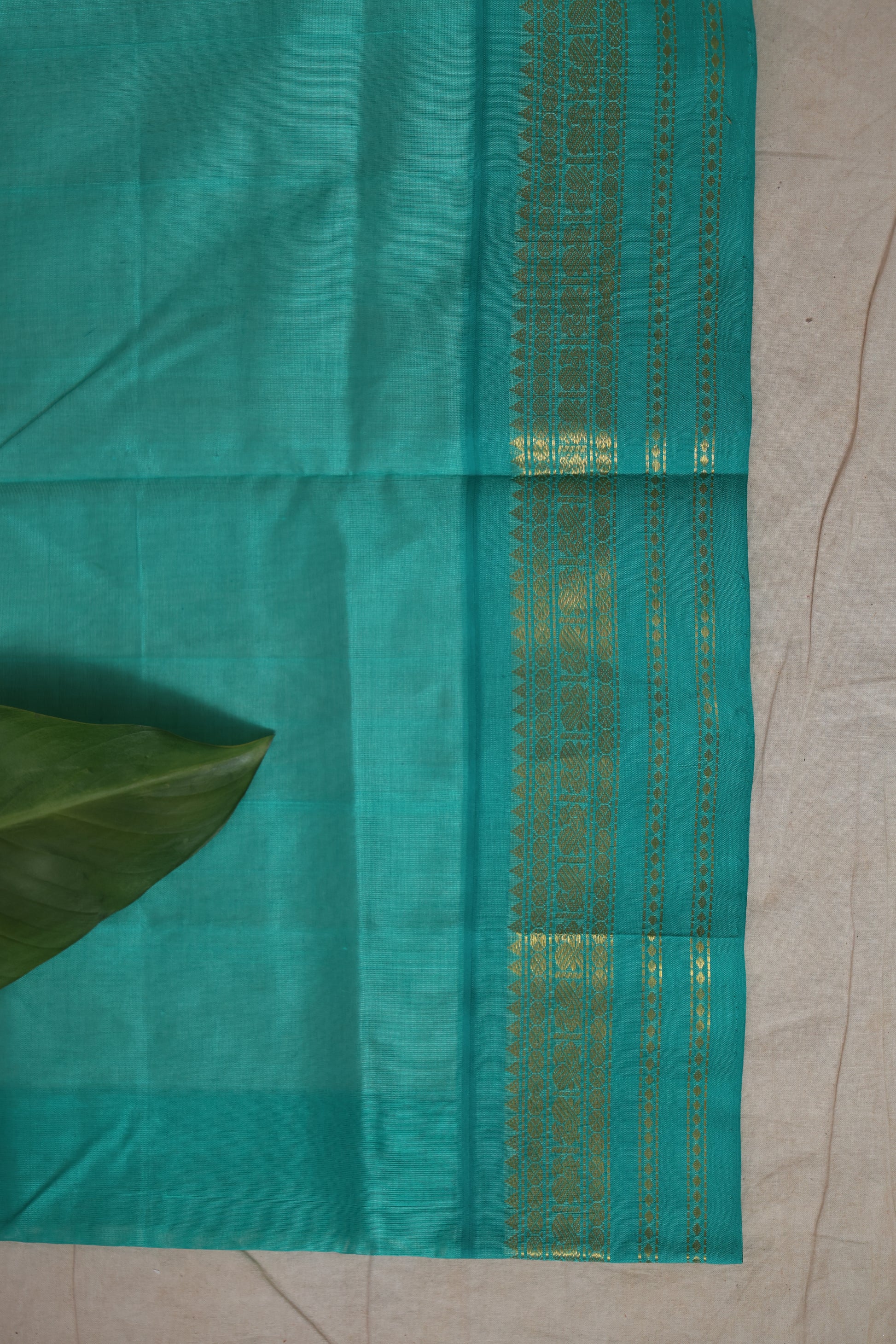 Detailed view of the woven pallu