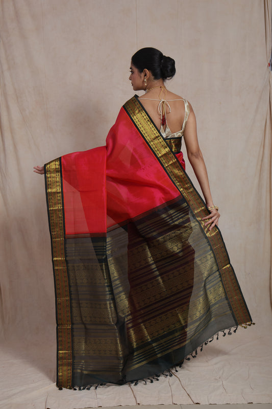 Back view of Pinkish Red Kanchipuram Handloom SICO Saree highlighting the woven pallu