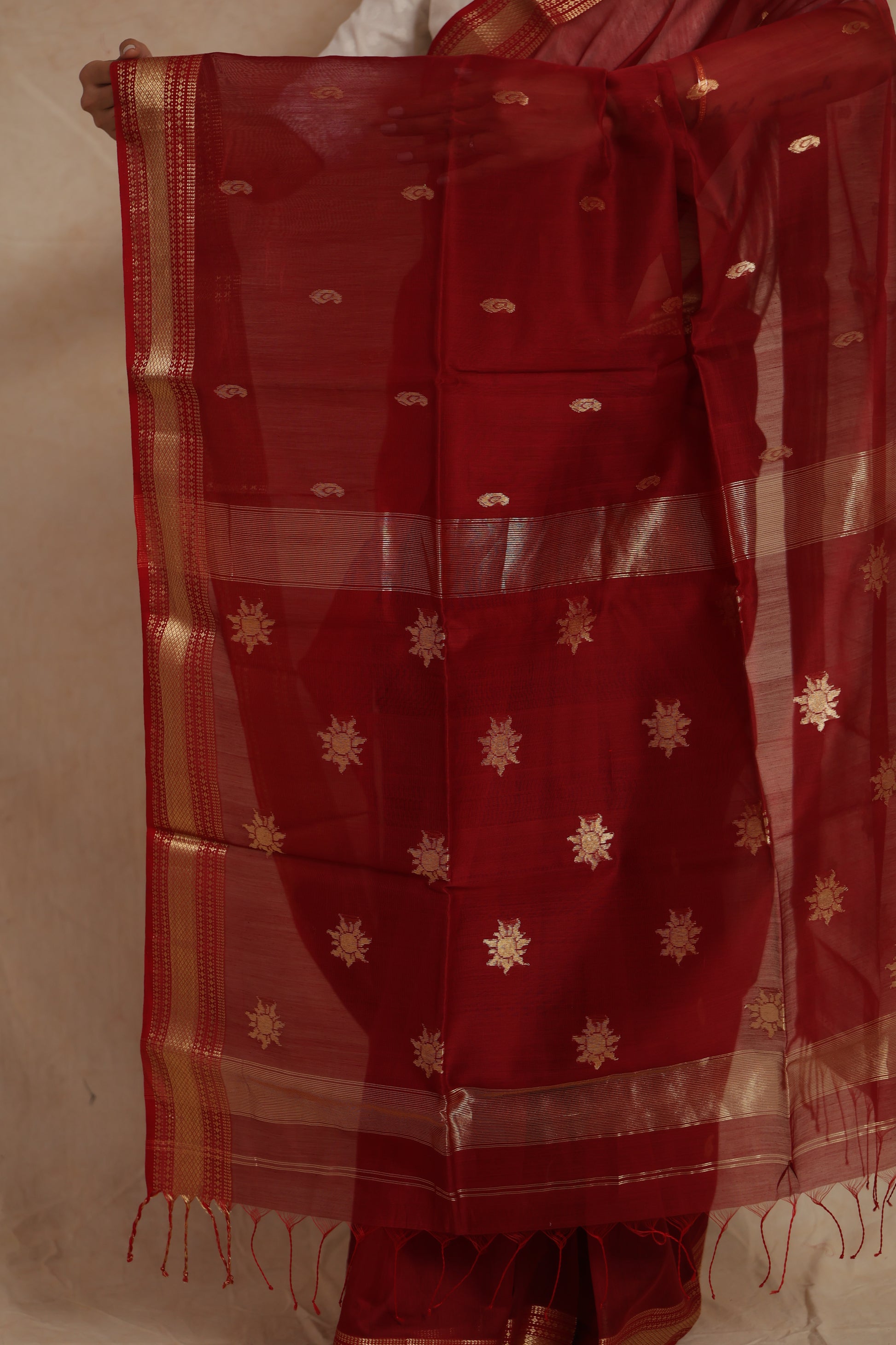 Portrait view of ruby red Maheshwari handloom silk cotton saree with elegant border
