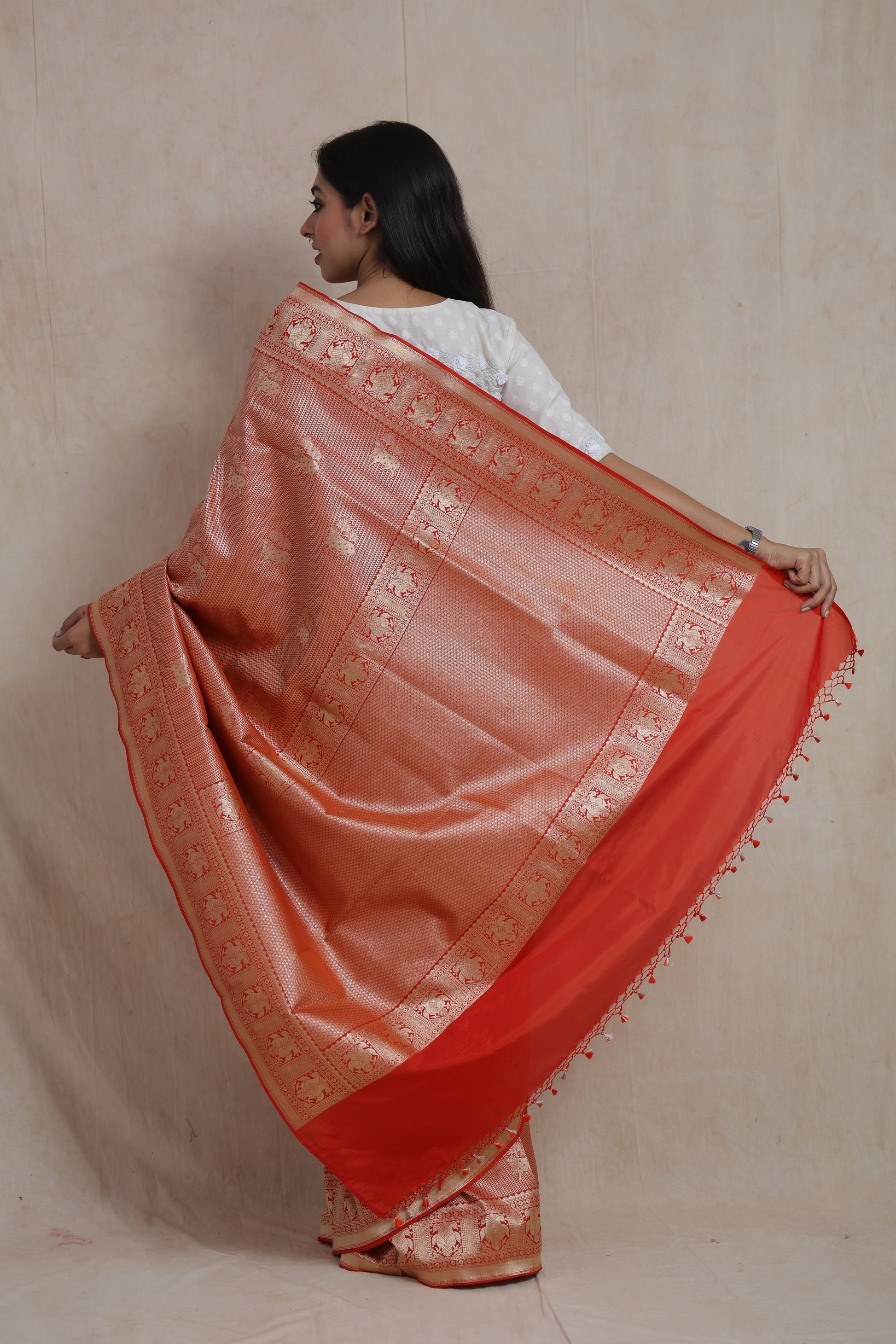 Detailed view of Banarasi woven border, elephant motifs, and luxurious silk texture