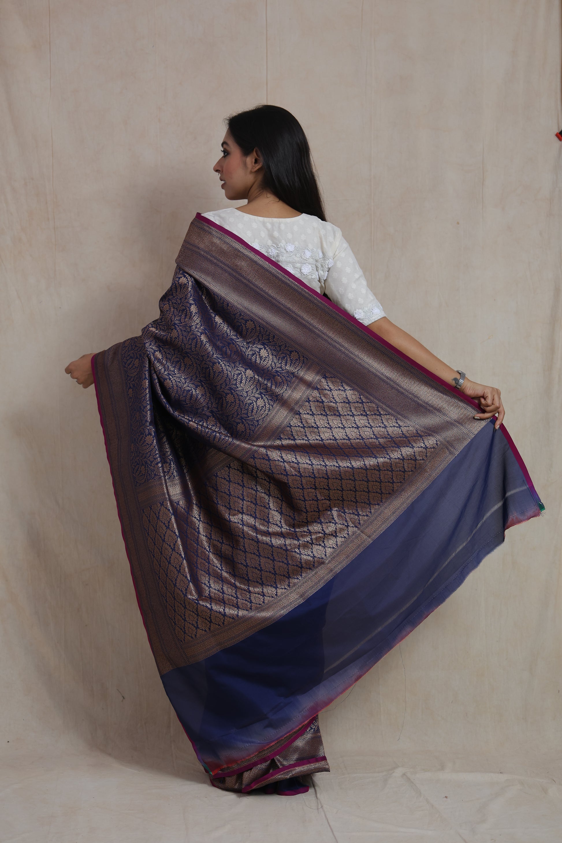 Back view showcasing the intricately woven Banarasi silk pallu