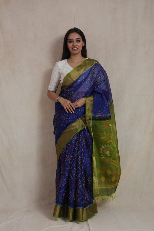 Full-length view of handwoven Panchampali silk cotton saree in royal indigo and olive green combination
