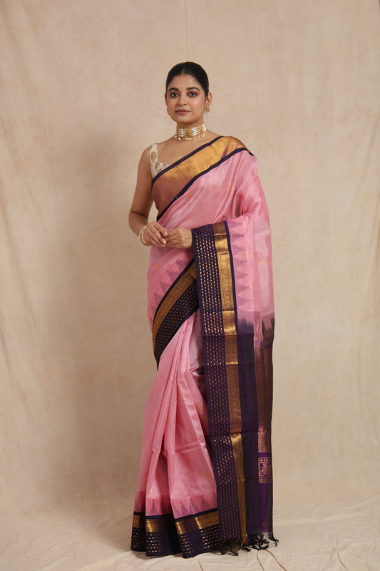 Full drape view of blush pink Kanchipuram Sico saree with contrast purple border