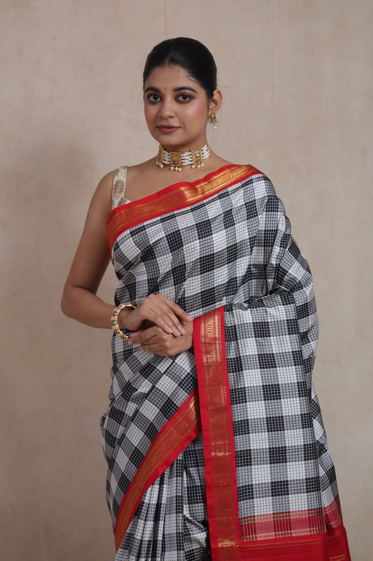 Close-up of checked Kanjivaram silk saree with intricate red zari woven border
