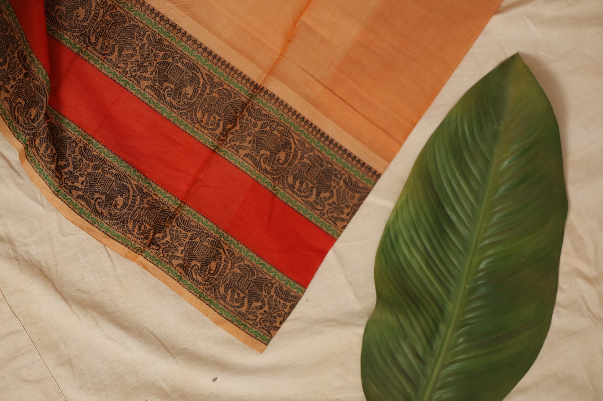 Close-up detail of beige Kanchipuram cotton saree with red border and traditional woven motifs