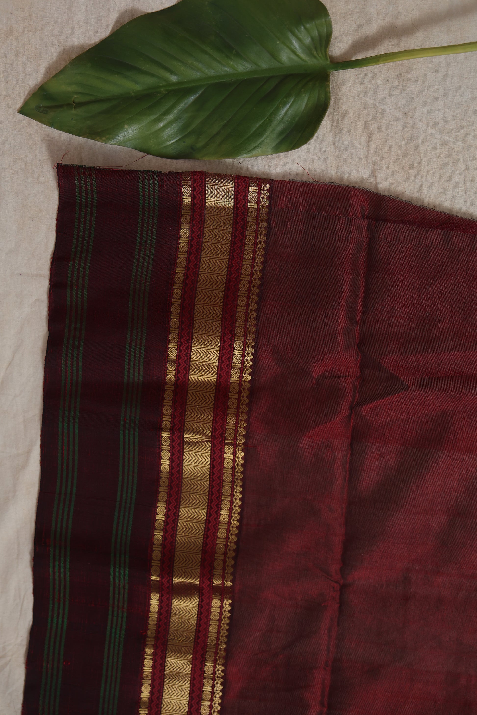 Elegant off white Kanchipuram silk cotton saree for festive wear
