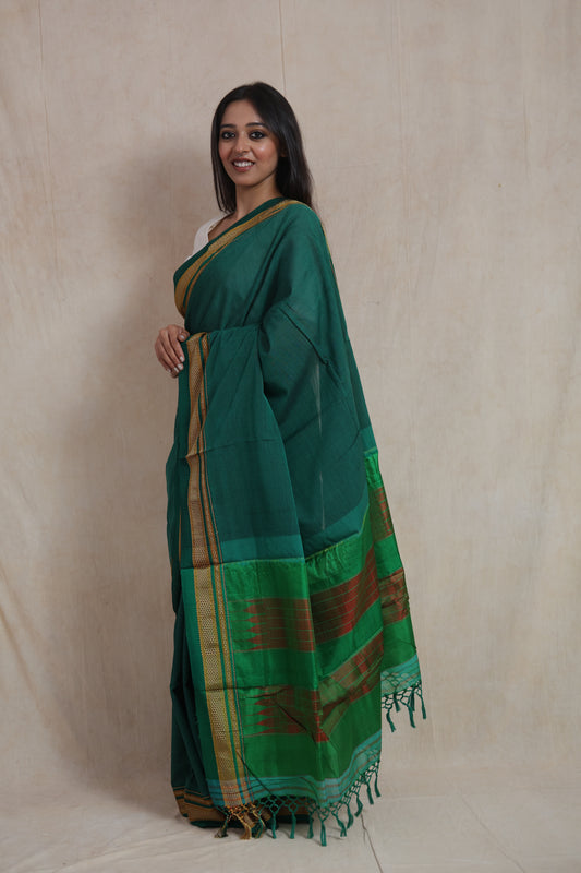 Side standing pose showcasing contrast pallu of green Ilkal cotton saree