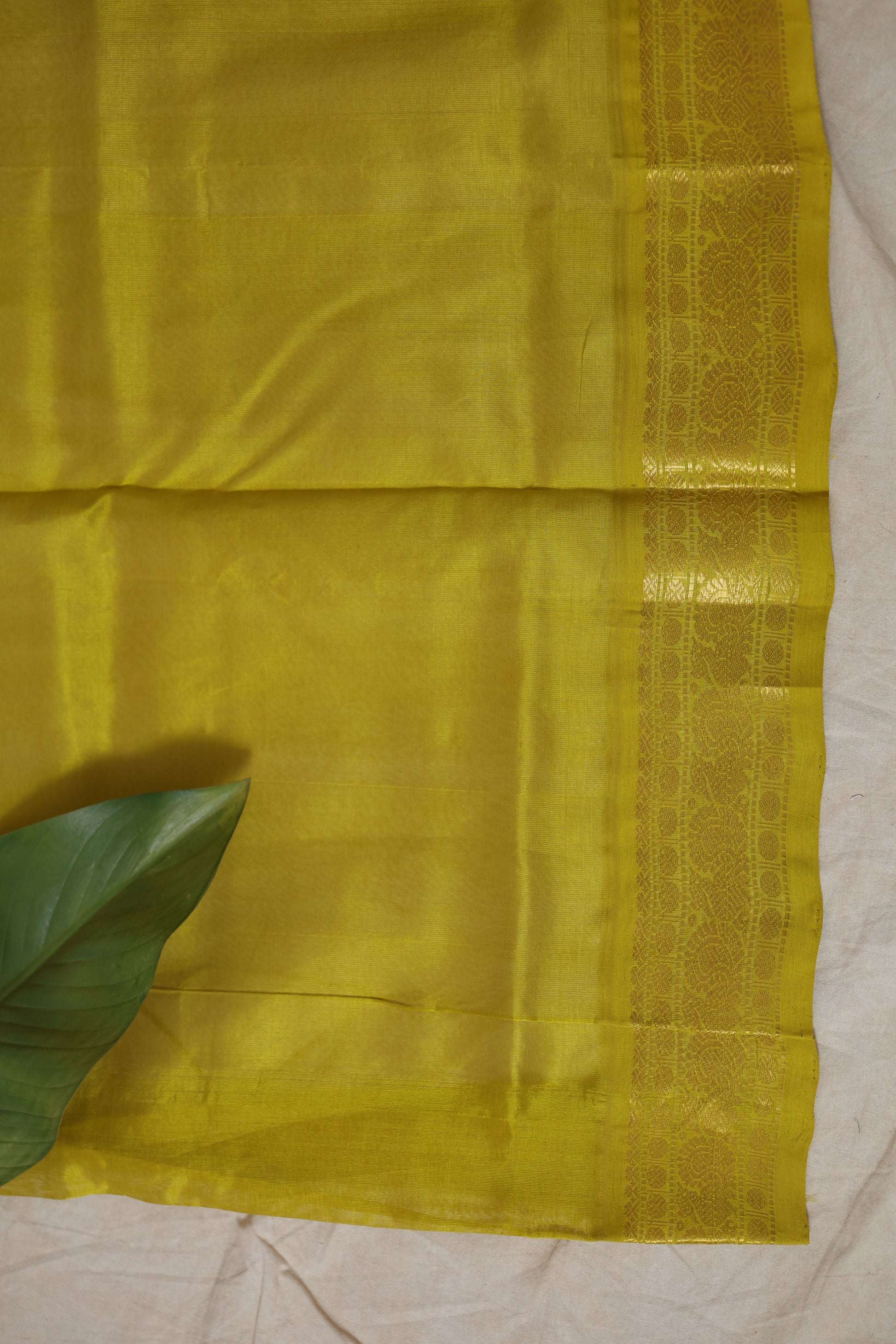 Elegant pallu display of green Kanchipuram silk cotton saree with zari work