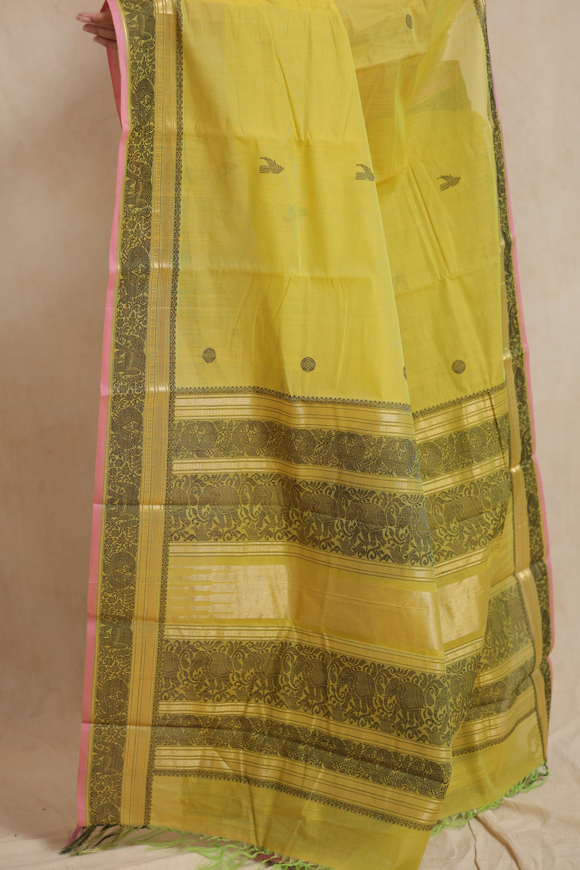 Classic portrait view of greenish yellow Kanchipuram Pallu close view cotton saree