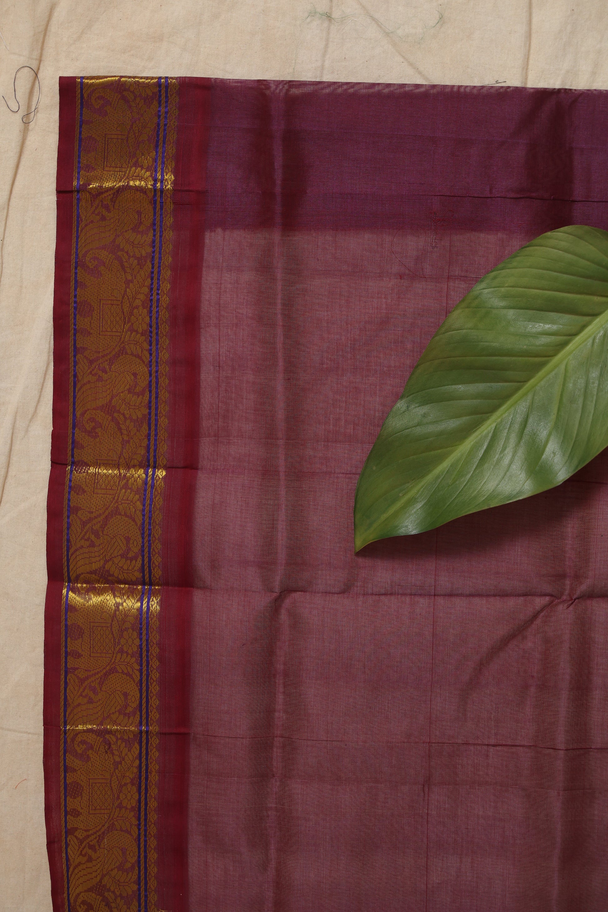 Close-up of the traditional woven border in wine purple and gold-toned detailing on emerald green Kanchipuram SICO saree