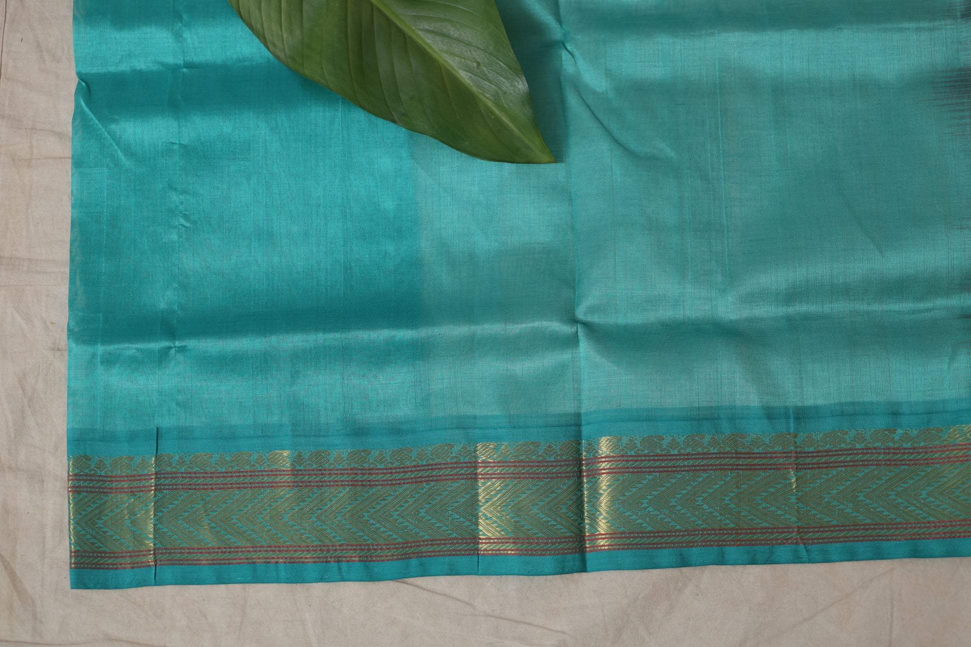 Side pallu view of magenta Kanchipuram silk cotton saree with aqua blue border
