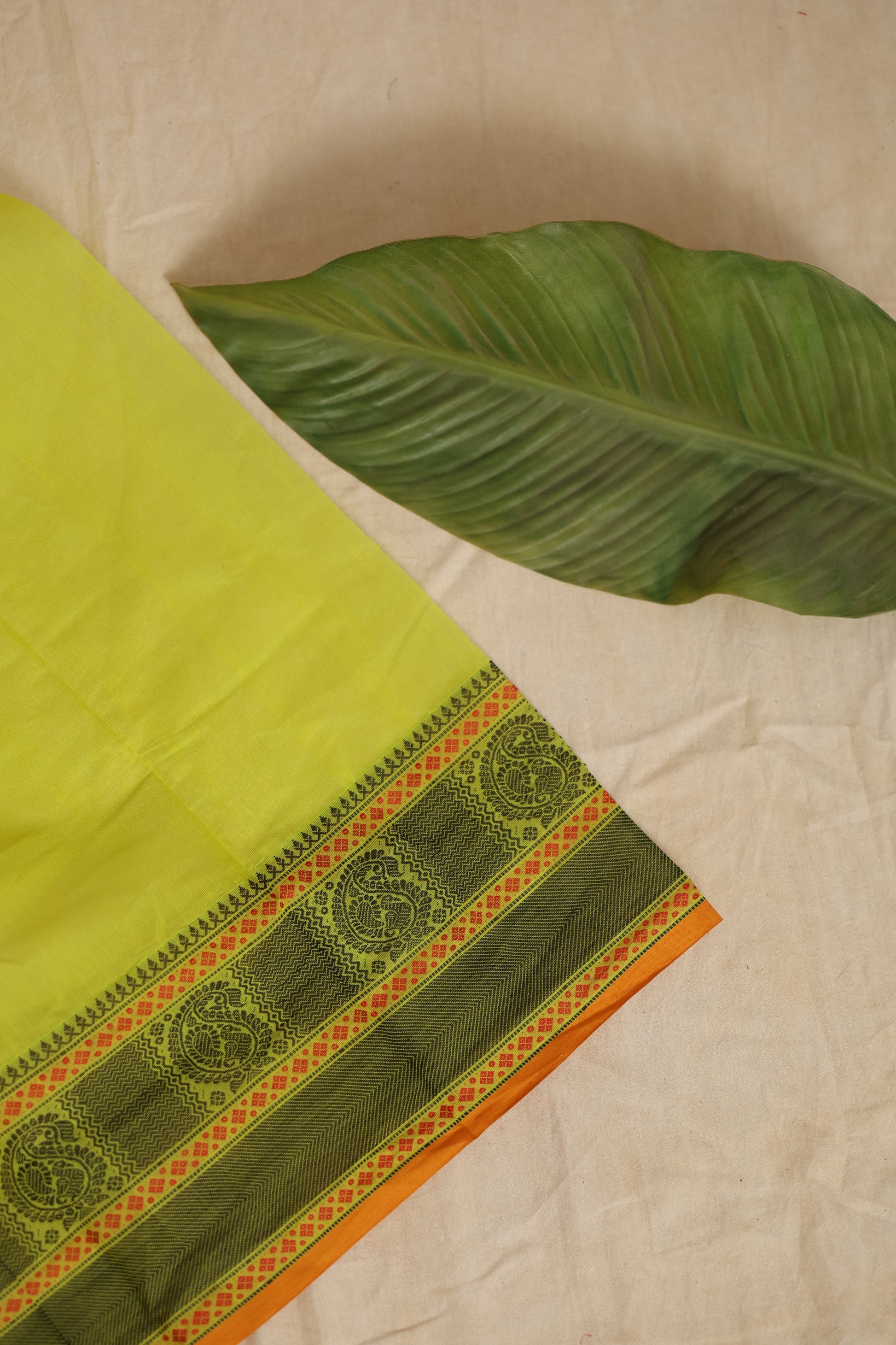 Detailed border view of lime green Kanchipuram cotton saree with traditional motifs