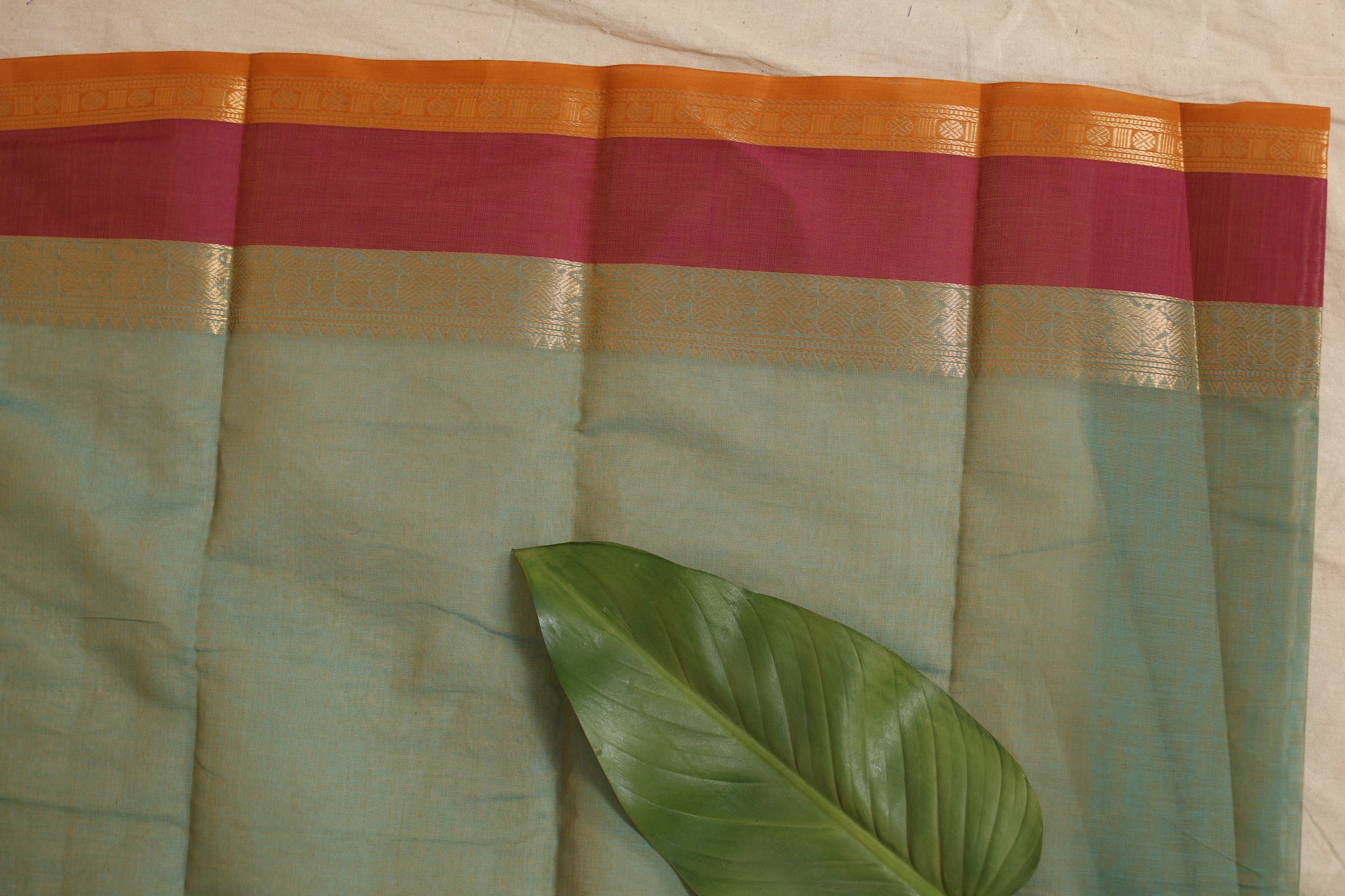 Portrait view of pastel aqua green Kanchipuram cotton saree