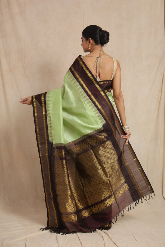 Back drape view of pastel green Kanchipuram Sico saree with rich woven pallu
