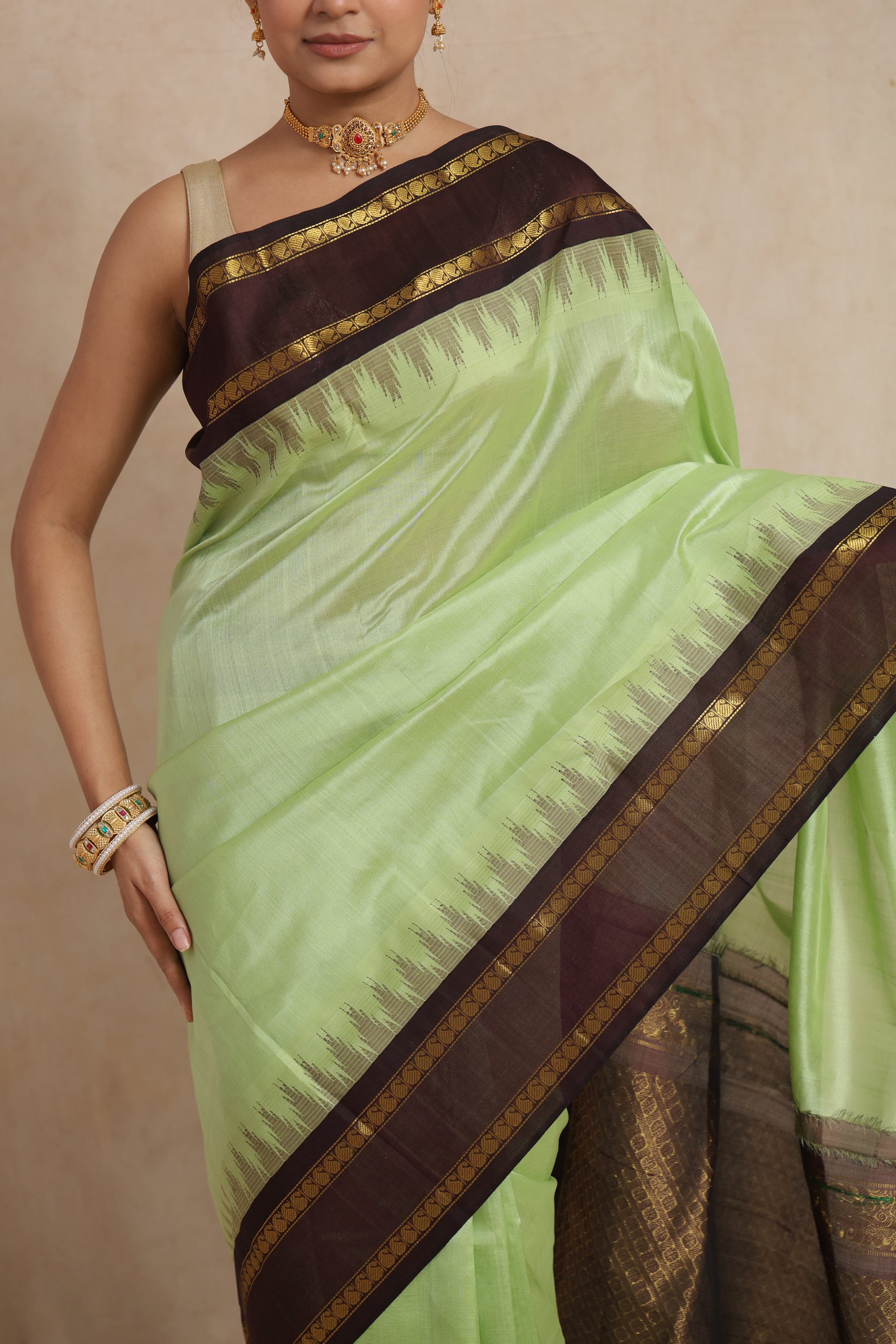 Close-up of pastel green Kanchipuram Sico saree with brown zari woven border