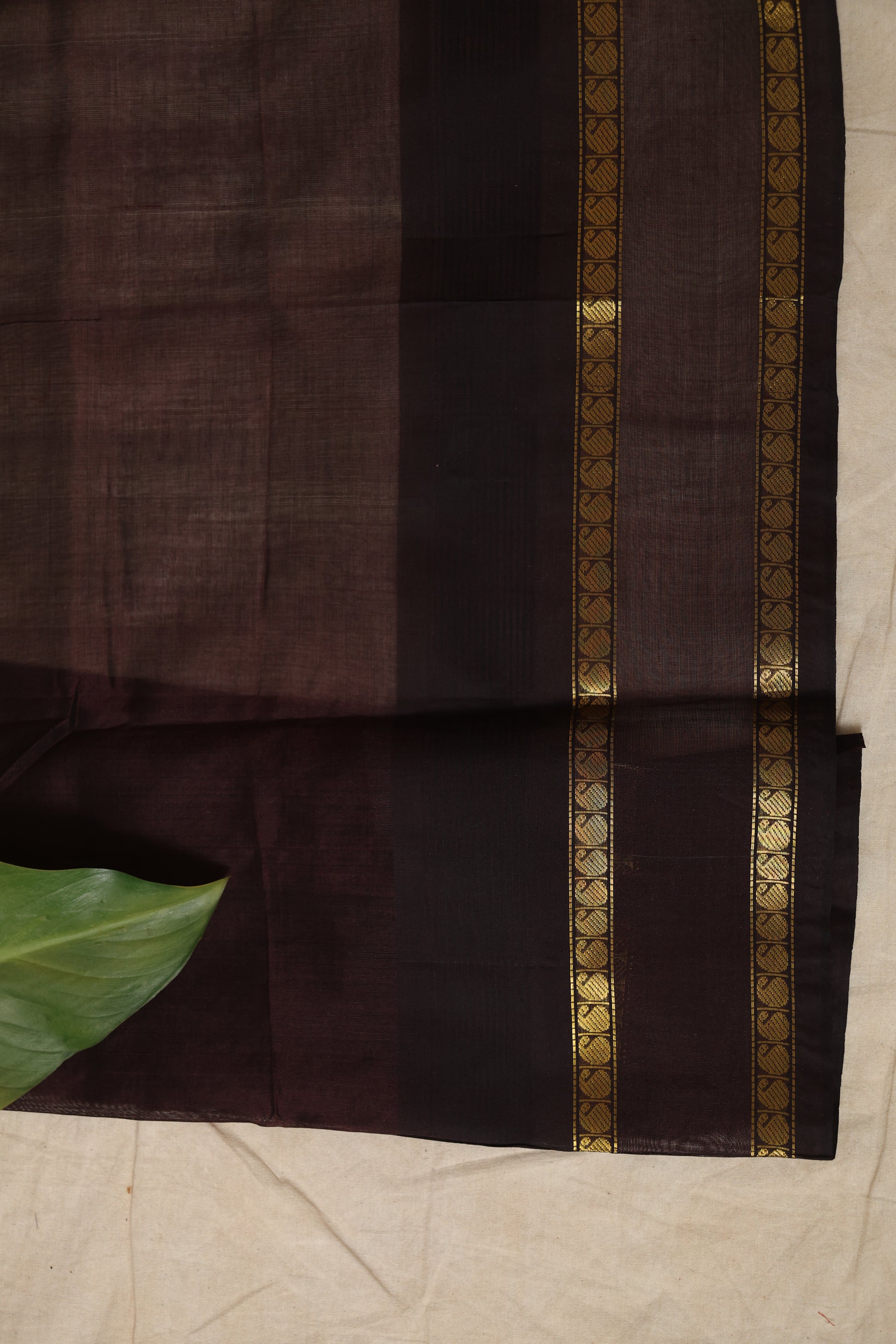 Elegant drape view of pastel green Kanchipuram Sico saree with rich brown woven border