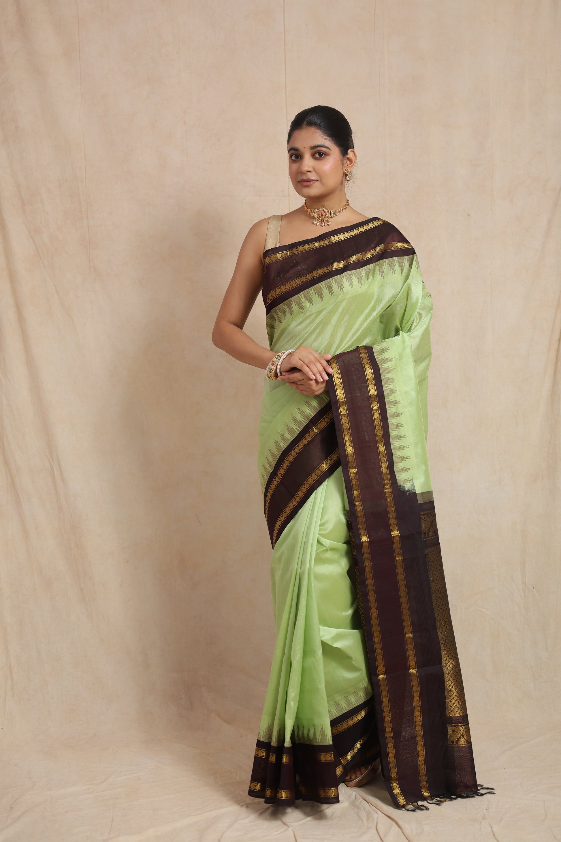 Full view of pastel green Kanchipuram Sico saree with deep brown zari border