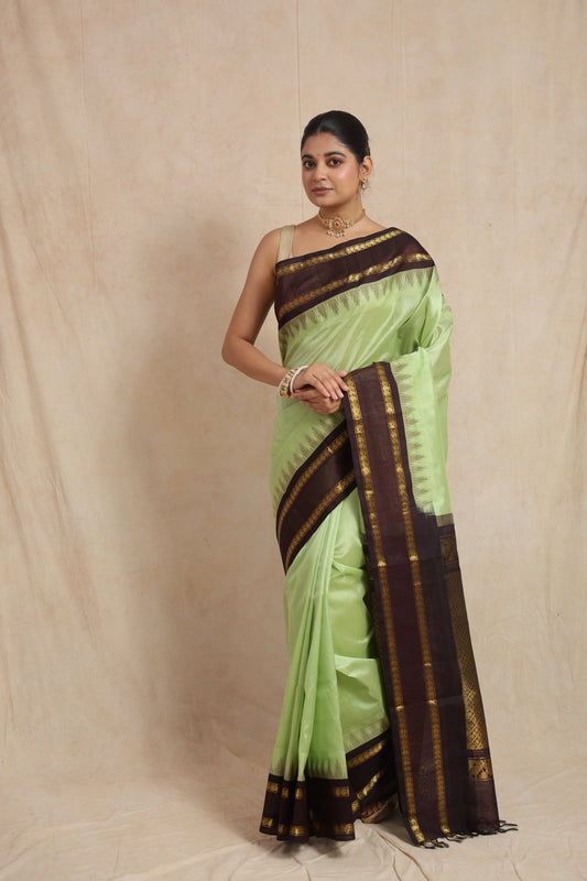 Full view of pastel green Kanchipuram Sico saree with deep brown zari border
