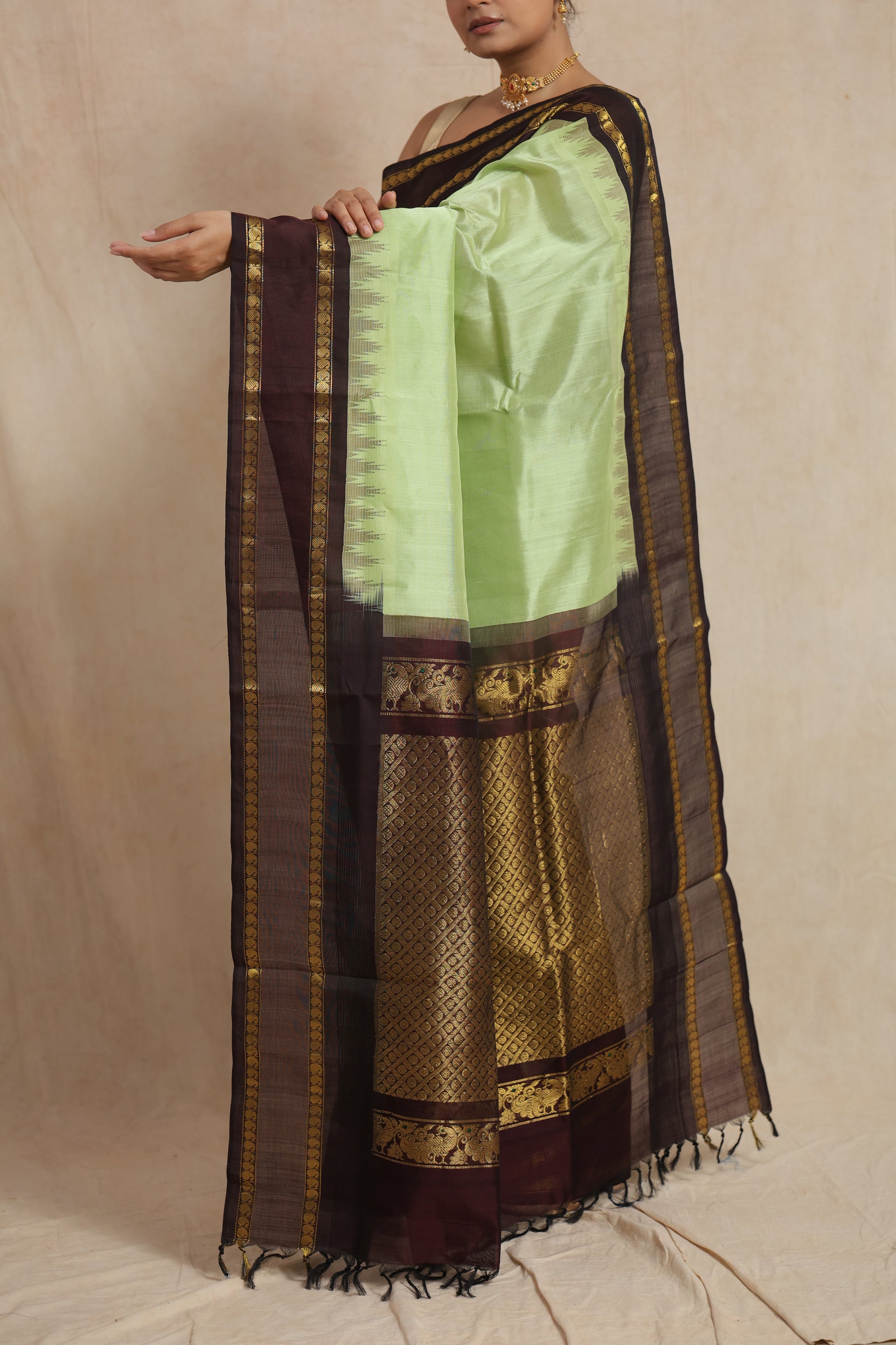 Portrait shot of model wearing pastel green Kanchipuram Sico saree with contrast border