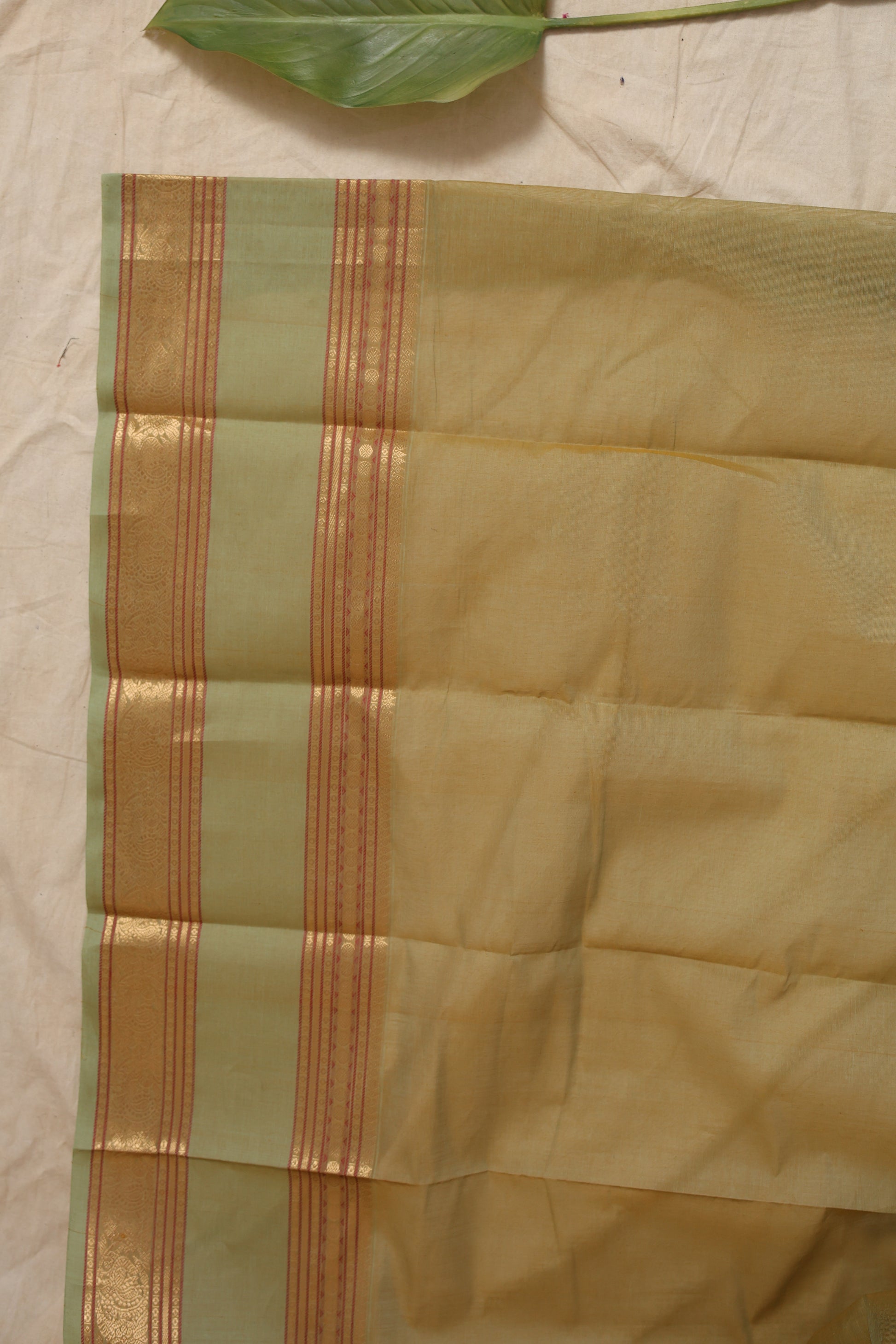 Flat lay view of pastel sage green Kanchipuram cotton saree