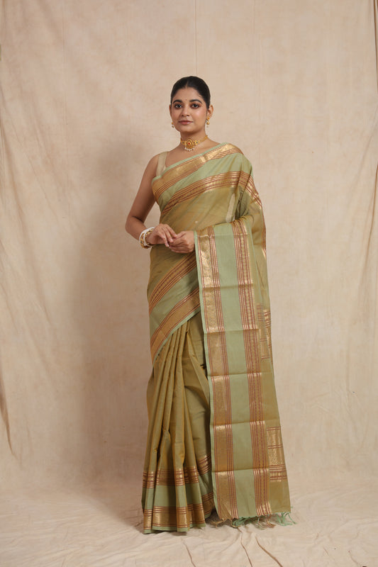 Front view of pastel sage green Kanchipuram cotton saree