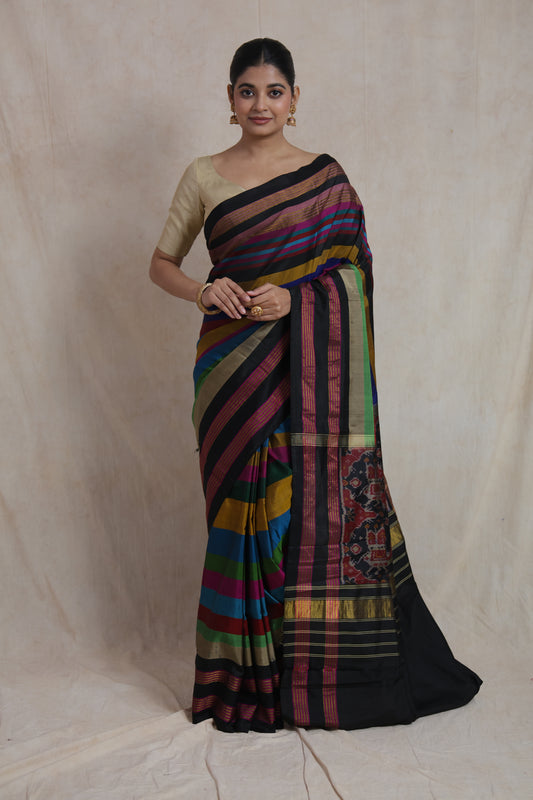 Detailed back pallu design of multicolor Patola silk saree