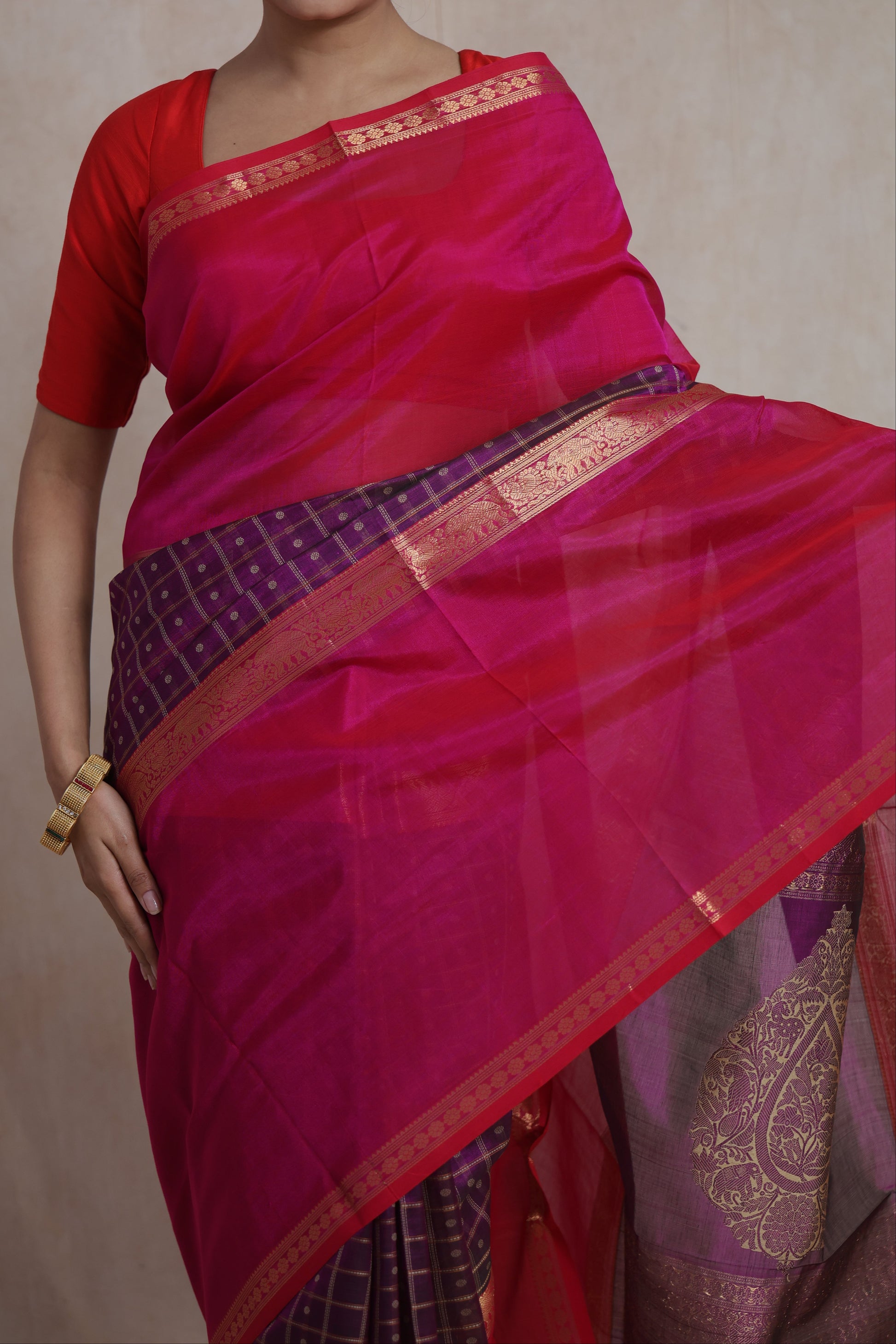 Detailed view of handloom Sico saree with traditional woven motifs and border