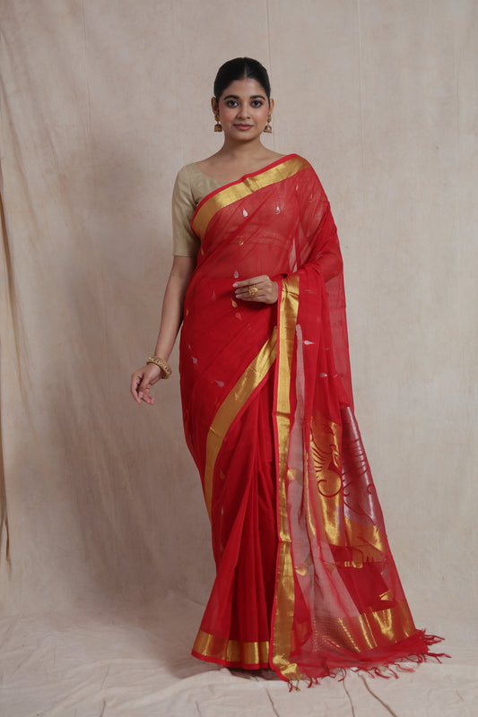 Full length view of red Kanchipuram cotton saree with gold border